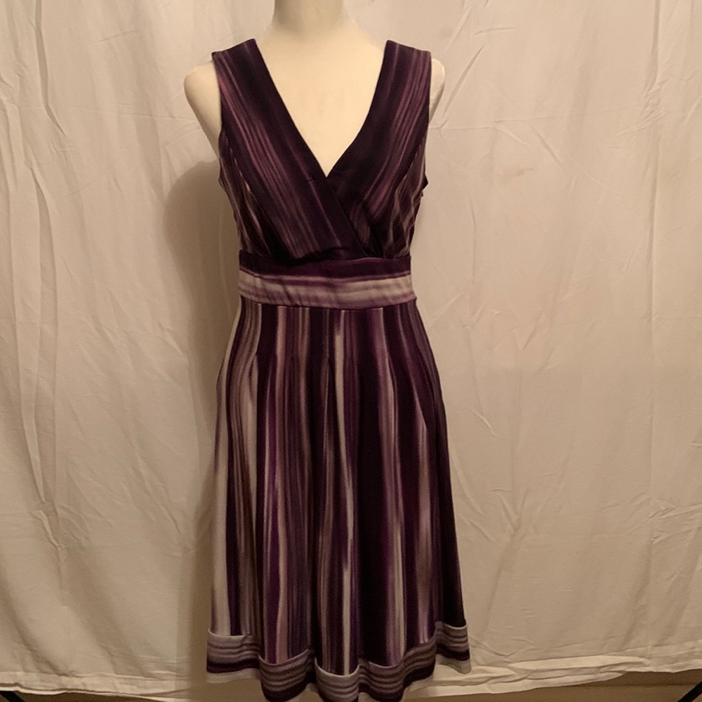 Women’s purple striped v neck dress